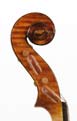 Violin 2004 - Head side