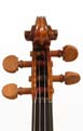 Violin 2004 - Head