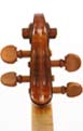 Violin 2004 - Head back