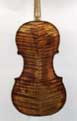 Nicol� Bianchi: Violin 1857 - Back