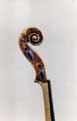 Nicol� Bianchi: Violin 1857 - Head side