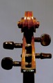 Giuseppe Castagnino: violin 1908 - Head