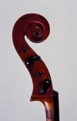 Giuseppe Castagnino: violin 1908 - Head side