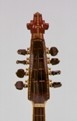 Cesare Candi: mandolin 1926 - Head