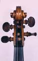 Cesare Candi: violin 1915 - Head