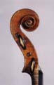 Cesare Candi: violin 1923 - Head
