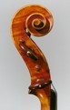 Paolo DeBarbieri: violin 1928 - Head side