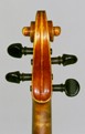 Erminio Motefiori: violin 1892 - head back