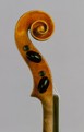 Erminio Motefiori: violin 1892 - head side